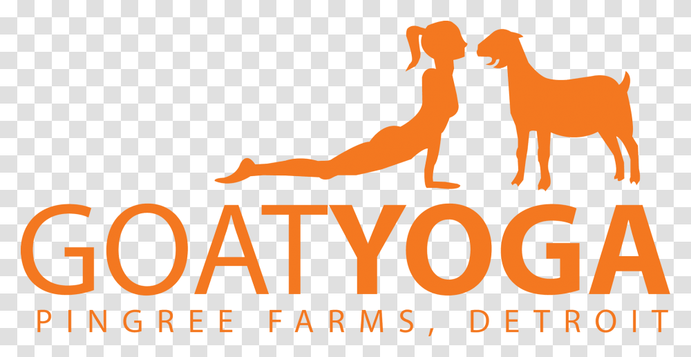 Goat Yoga At Pingree Farms In Detroit Mi Goat Yoga Pingree Farms, Fitness, Working Out, Sport Transparent Png
