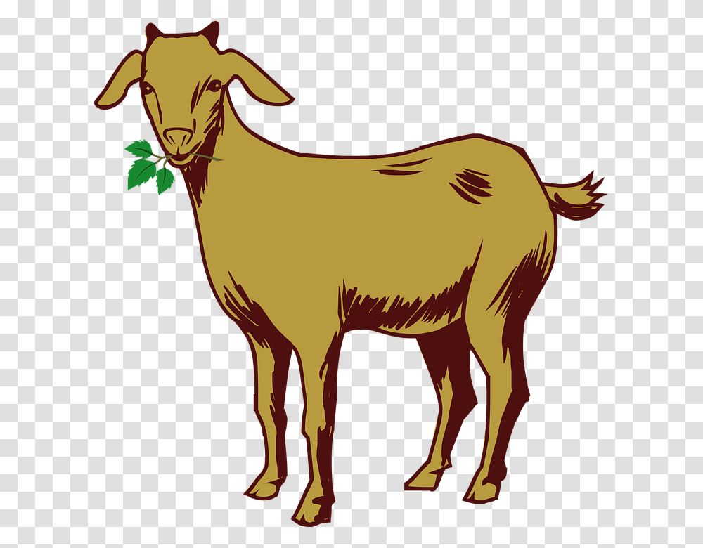 Goats Head Clipart Binatang, Mammal, Animal, Horse, Mountain Goat Transparent Png
