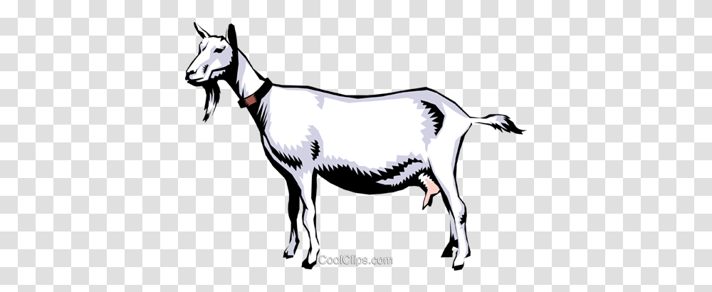 Goats Royalty Free Vector Clip Art Illustration, Mammal, Animal, Mountain Goat, Wildlife Transparent Png