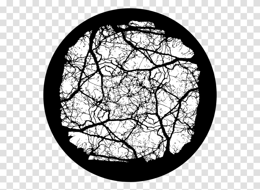 Gobo Glass, Silhouette, Tree, Plant, Moon Transparent Png