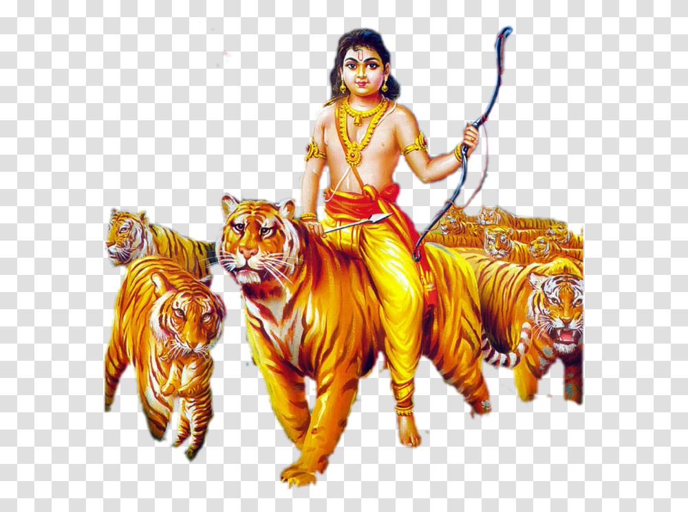God Ayyappa Images, Tiger, Wildlife, Mammal, Animal Transparent Png