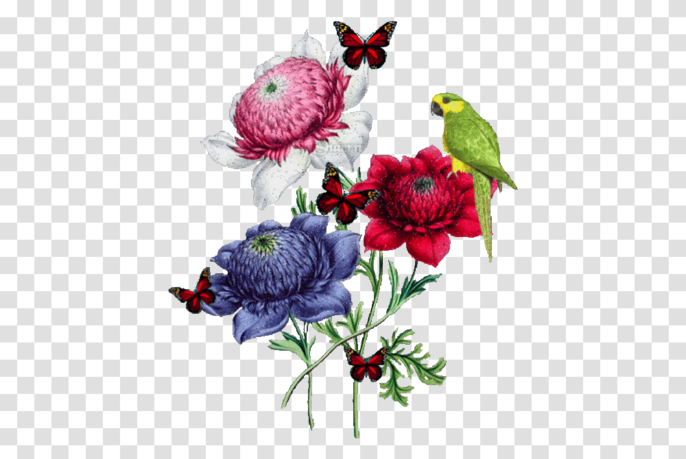 God Knows What's Best For Us So, Bird, Animal, Plant, Flower Transparent Png