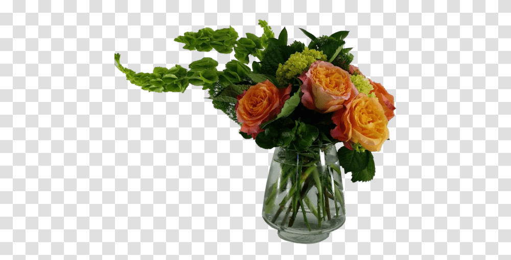 God's Garden TreasuresClass Garden Roses, Floral Design, Pattern Transparent Png