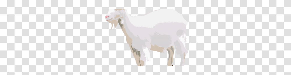 Godrays Image, Goat, Mammal, Animal, Mountain Goat Transparent Png