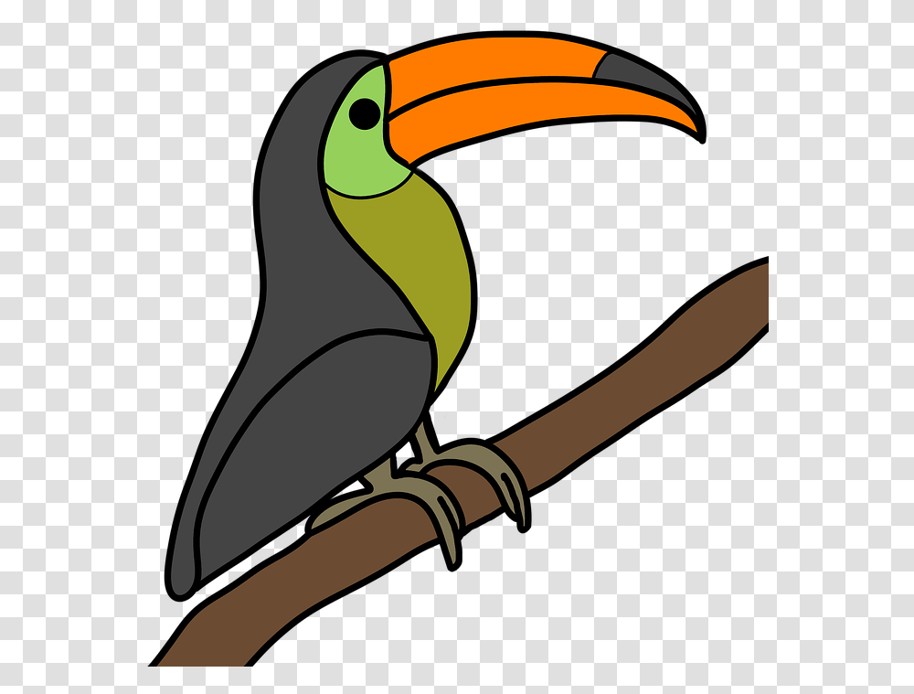 Gods Creation Toucan Bird Toucan, Beak, Animal, Axe, Tool Transparent Png