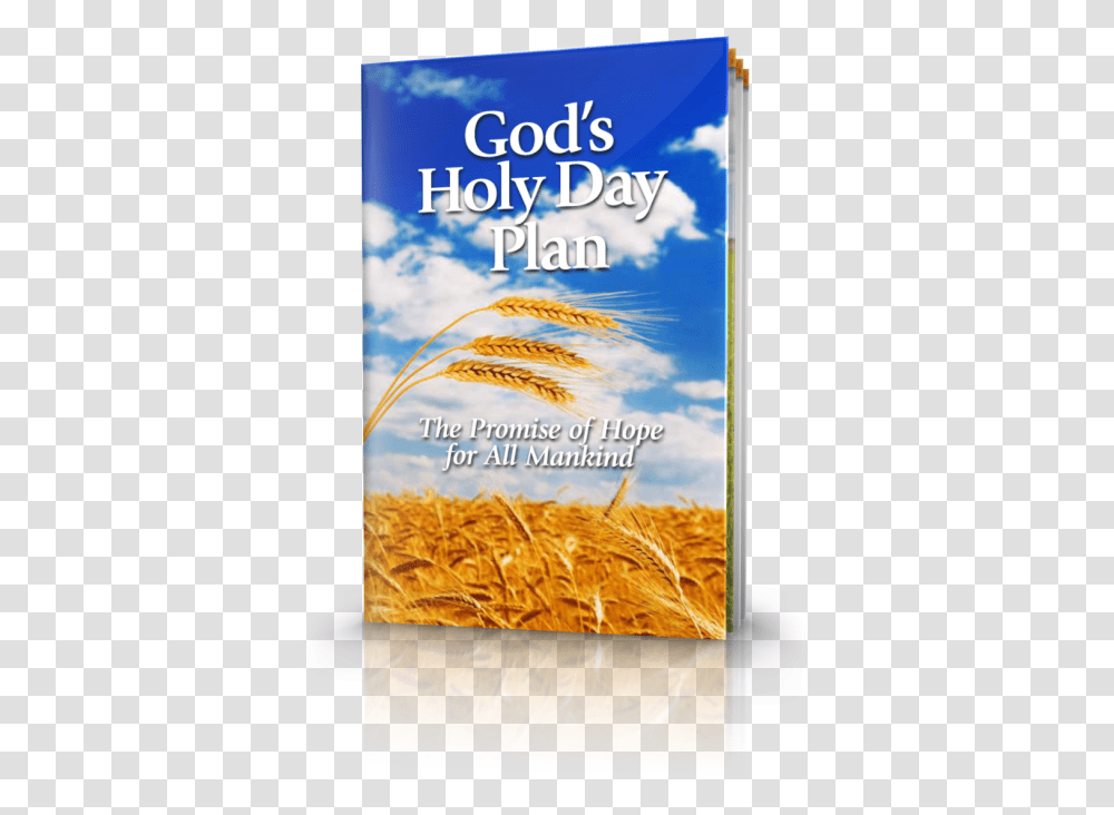 Gods Holy Day Plan Gods Holy Day Plan Booklet, Plant, Nature, Outdoors Transparent Png