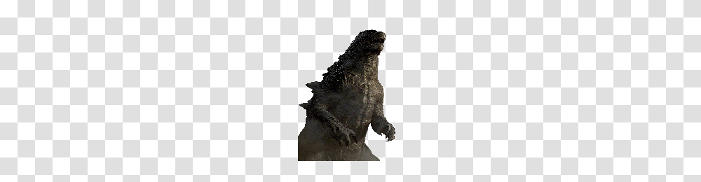 Godzilla Godzilla Images, Animal, Mammal, Wildlife Transparent Png