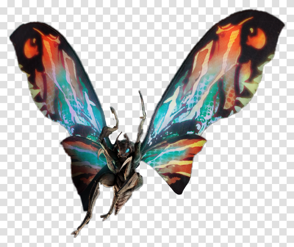 Godzilla Mothra Mothra 2019, Ornament, Bird, Animal, Pattern Transparent Png