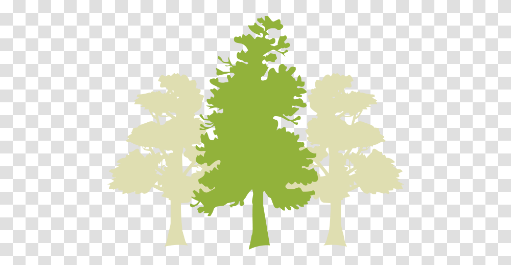 Gogreen Landscaping Go Green, Tree, Plant Transparent Png