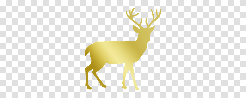 Gold Holiday, Elk, Deer, Wildlife Transparent Png