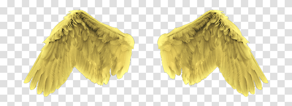 Gold Angel Wings, Bird, Animal, Jar Transparent Png