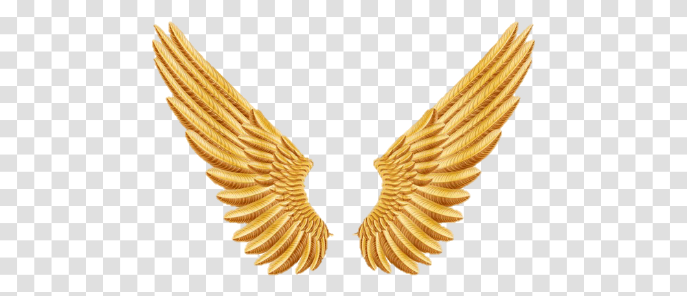 Gold Angel Wings Golden Angel Wings, Bronze, Animal, Bird, Leaf Transparent Png