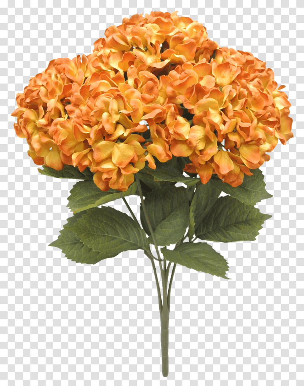 Gold Artificial Flower, Plant, Geranium, Blossom, Flower Arrangement Transparent Png