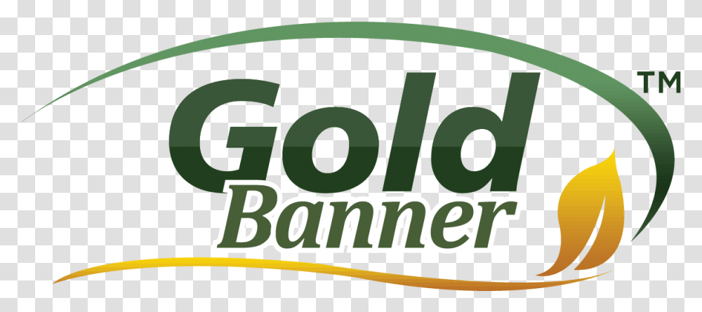 Gold Banner Graphic Design, Text, Label, Word, Logo Transparent Png