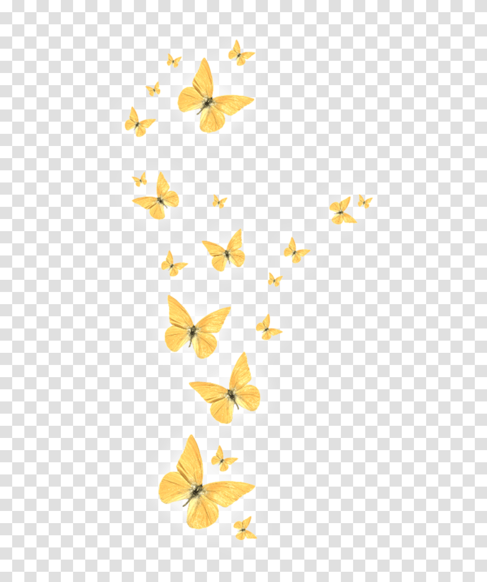 Gold Butterfly Picsart Light Butterfly, Animal, Insect, Invertebrate, Petal Transparent Png
