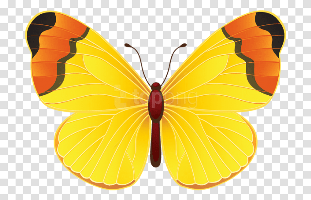 Gold Butterfly Purple Yellow Butterfly Tattoo Yellow Butterfly Clip Art, Insect, Invertebrate, Animal, Moth Transparent Png