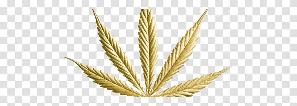 Gold Cannabis Leaf Image Gold Cannabis Leaf, Plant, Weed, Hemp, Vase Transparent Png