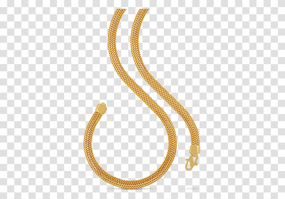 Gold Chain For Men, Snake, Reptile, Animal Transparent Png