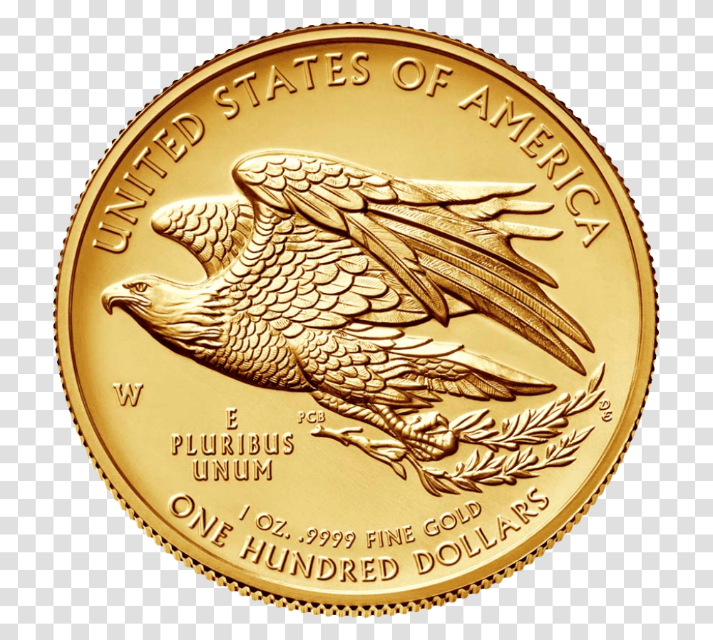 Gold Coin Image American Liberty 2019 High Relief Gold Coin, Money, Bird, Animal Transparent Png