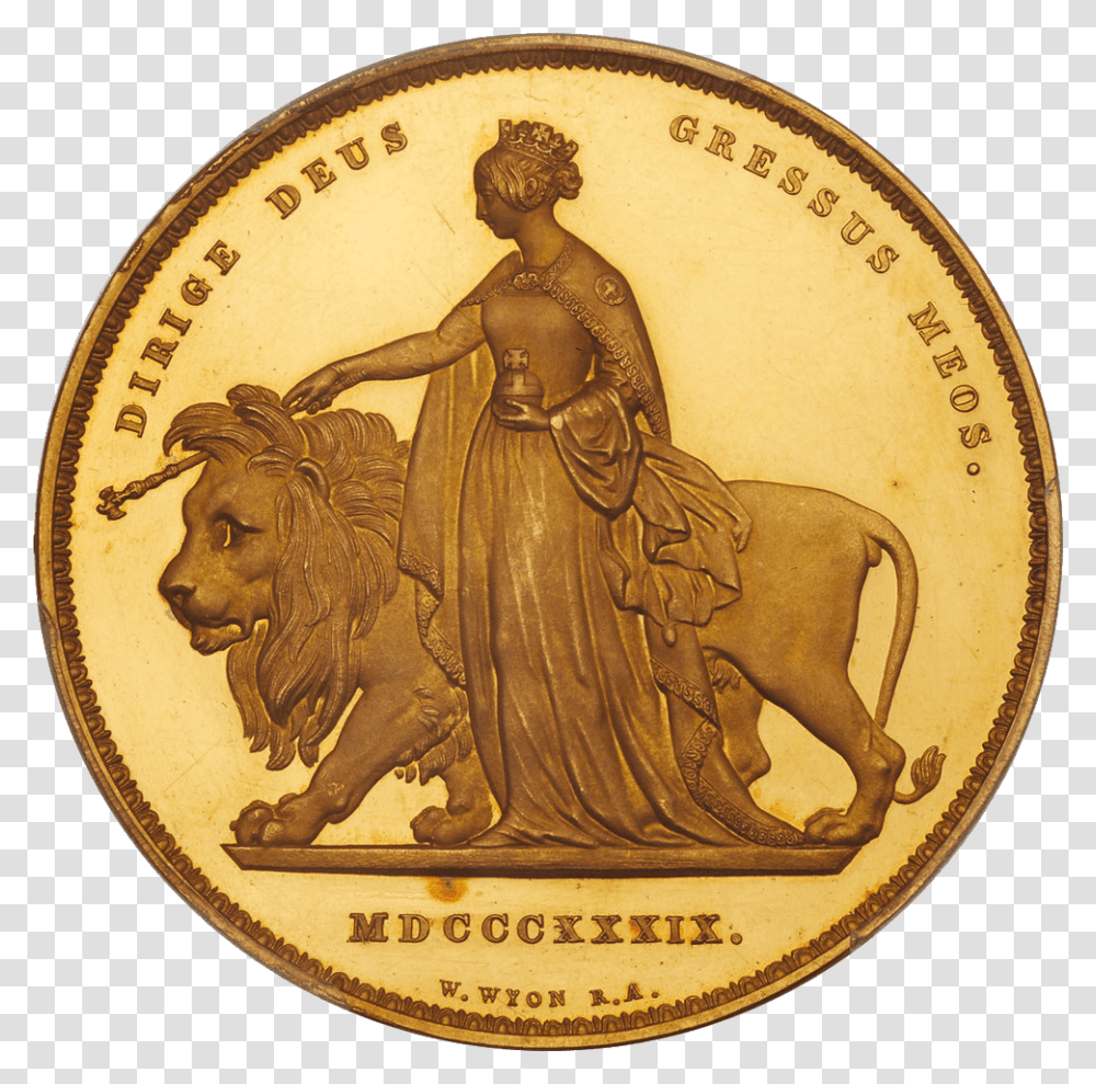 Gold Coin Una And The Lion, Money, Wildlife, Mammal Transparent Png
