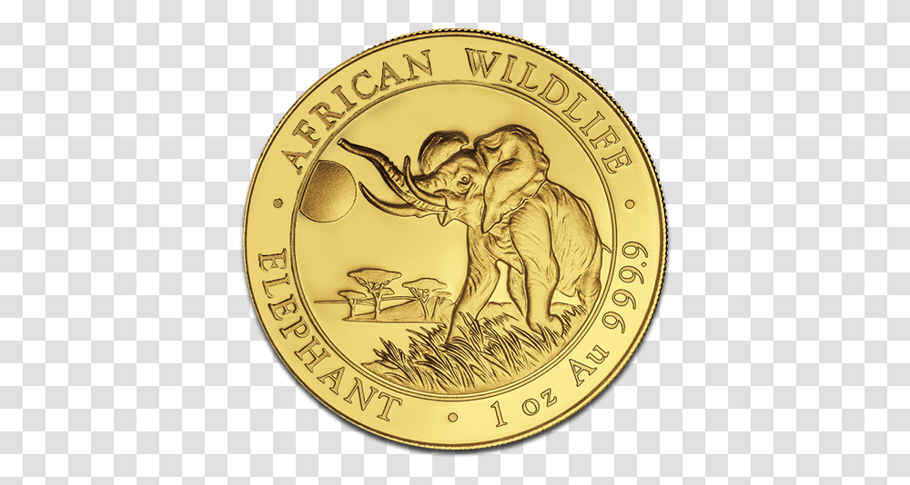 Gold Coins Image Background Ministerstwo Browaru, Lion, Wildlife, Mammal, Animal Transparent Png