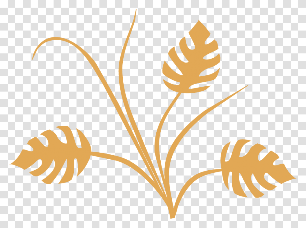 Gold Decorative Lines, Label, Plant, Seed Transparent Png