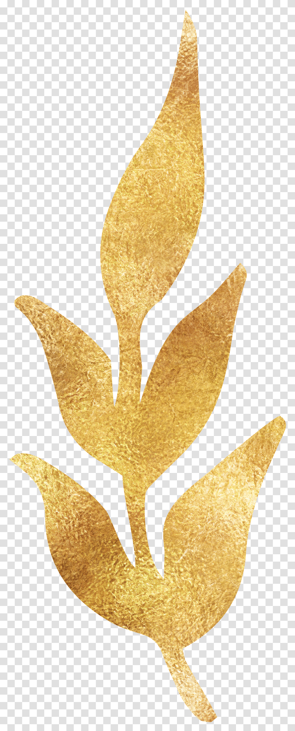 Gold Decorative Lines, Peel, Trophy, Crown, Jewelry Transparent Png