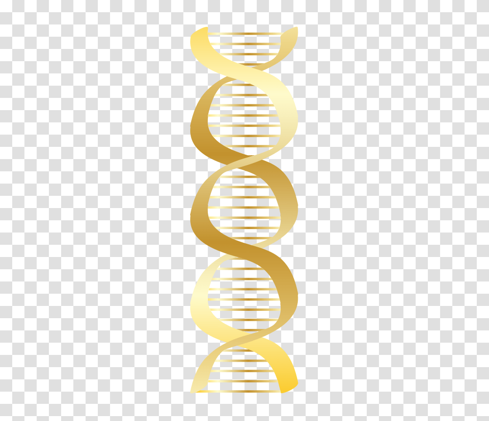 Gold DNA Icon, Technology, Logo, Trademark Transparent Png