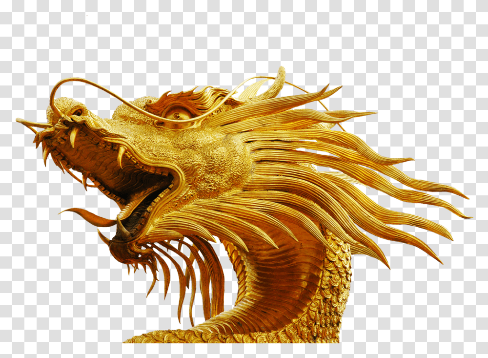 Gold Dragon Head Dragon Head No Background, Dinosaur, Reptile, Animal, Lobster Transparent Png