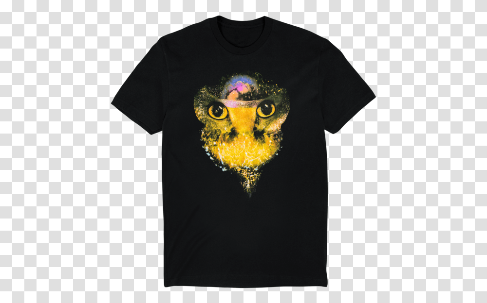Gold Dust Tee Screech Owl, Apparel, T-Shirt, Person Transparent Png