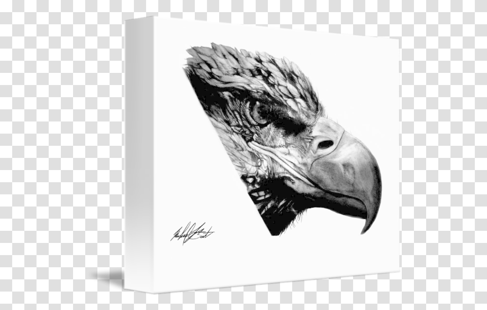 Gold Eagle Head By Michael Burt Hawk, Beak, Bird, Animal, Vulture Transparent Png