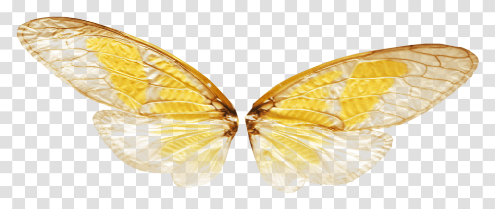 Gold Fairy Wings, Butterfly, Insect, Invertebrate, Animal Transparent Png