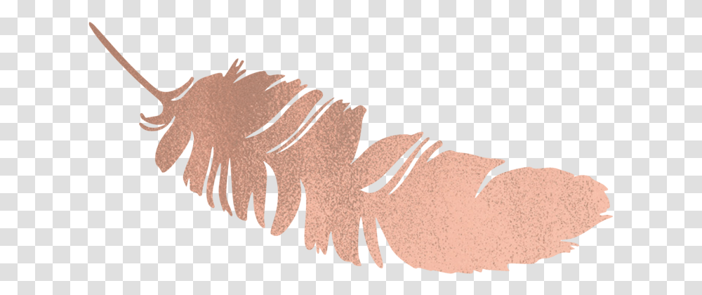 Gold Feather Drawing, Skin, Animal, Crowd Transparent Png