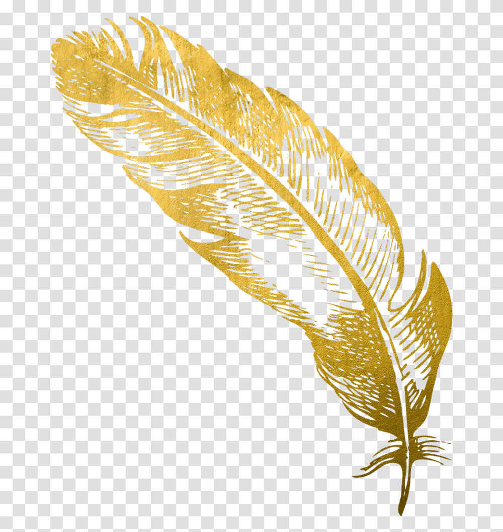 Gold Feather Feathers Native Boho Pretty Decals Golden Feather, Leaf, Plant, Bird Transparent Png