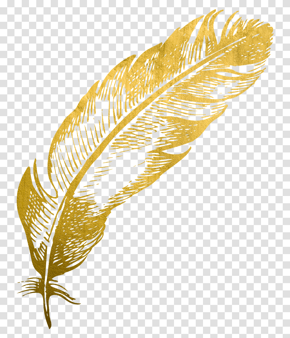 Gold Feather Feathers Native Boho Pretty Decals Illustration, Leaf, Plant, Bird, Animal Transparent Png
