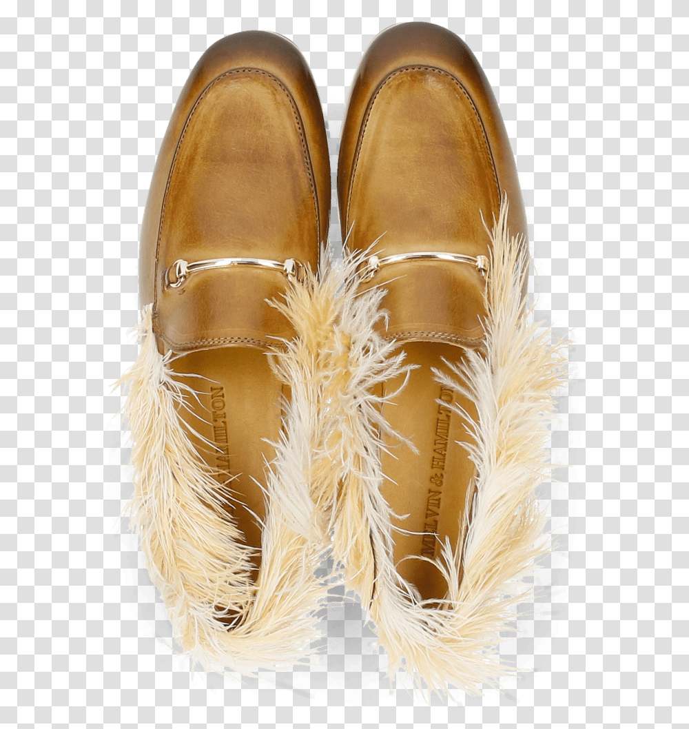 Gold Feather Oval, Apparel, Footwear, Shoe Transparent Png