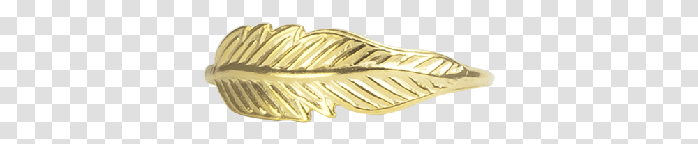 Gold Feather Ring Butterfly, Fossil Transparent Png