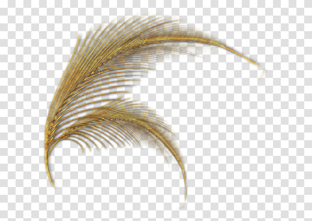 Gold Feathers Golden Feathers, Ornament, Pattern, Fractal, Bird Transparent Png