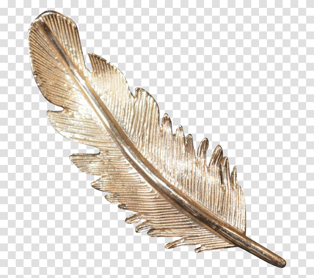 Gold Feathers Wood, Accessories, Accessory, Jewelry, Hair Slide Transparent Png
