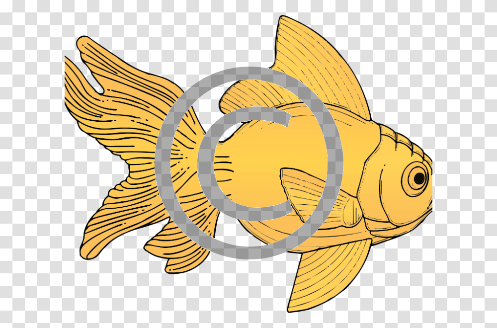 Gold Fish Clip Art, Animal, Sea Life, Goldfish, Amphiprion Transparent Png