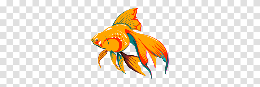 Gold Fish Clip Art, Goldfish, Animal Transparent Png