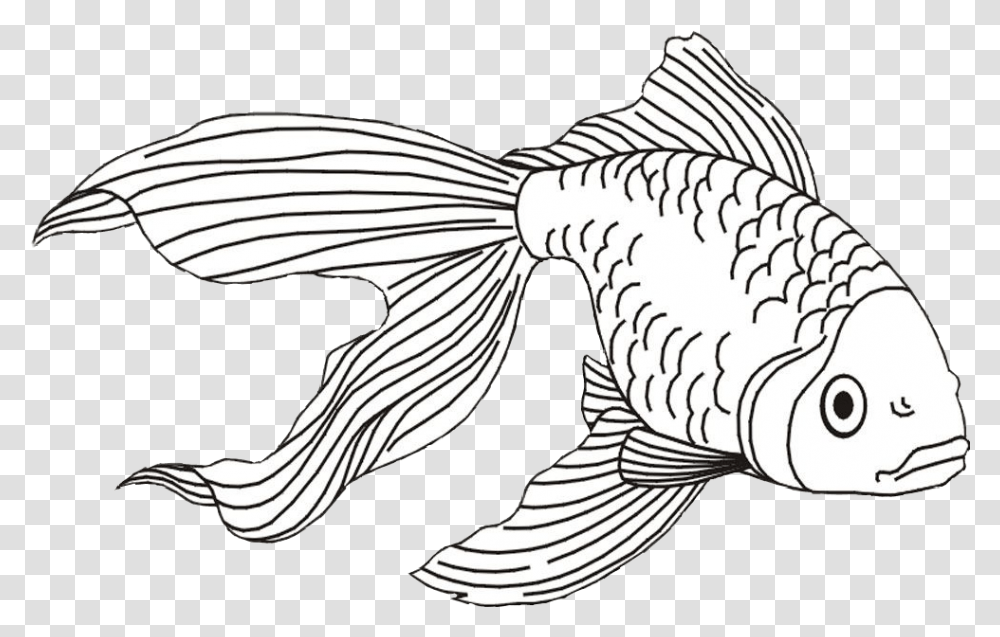 Gold Fish Goldfish Clipart Beta Fish Fish Coloring Pages, Animal, Bird, Dinosaur, Reptile Transparent Png