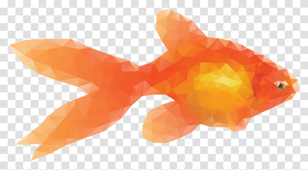 Gold Fish Graphic, Goldfish, Animal, Rug, Coho Transparent Png