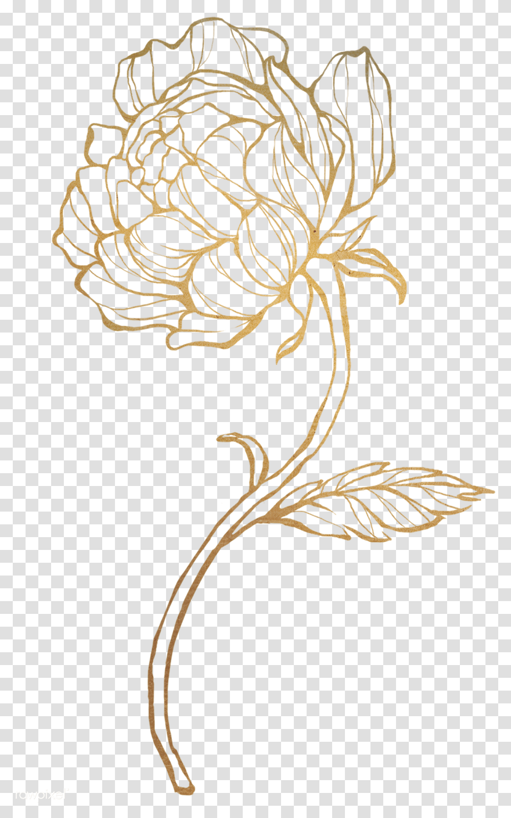 Gold Flower Gold Flower, Floral Design, Pattern Transparent Png