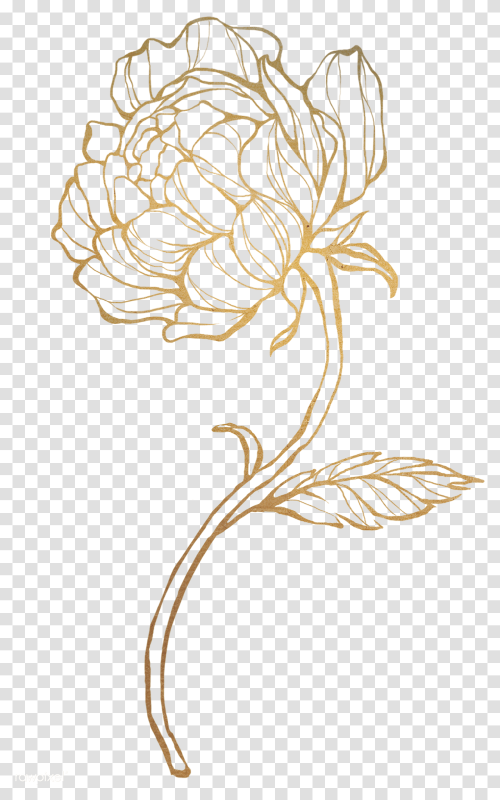Gold Flower Outline Gold Flower, Graphics, Art, Floral Design, Pattern Transparent Png