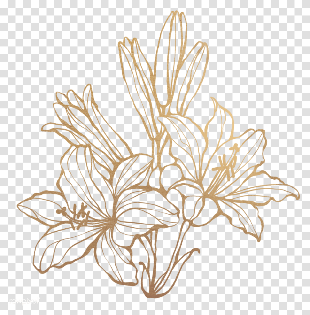 Gold Flower, Stencil, Plant Transparent Png