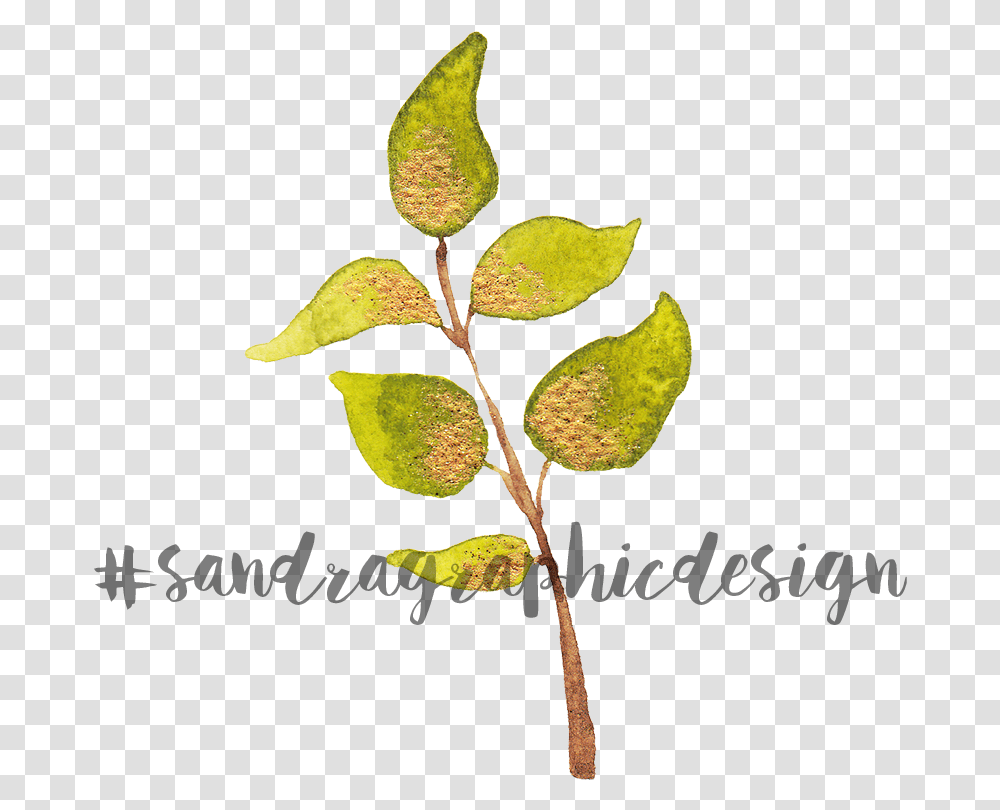 Gold Flowers Clip Art - Sandraas Twig, Leaf, Plant, Green, Annonaceae Transparent Png