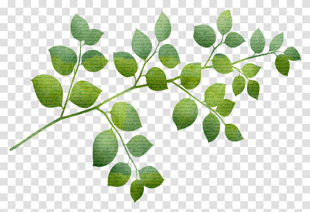 Gold Foil Leaves Glitter Free Image On Pixabay Coca Family, Leaf, Plant, Green, Potted Plant Transparent Png