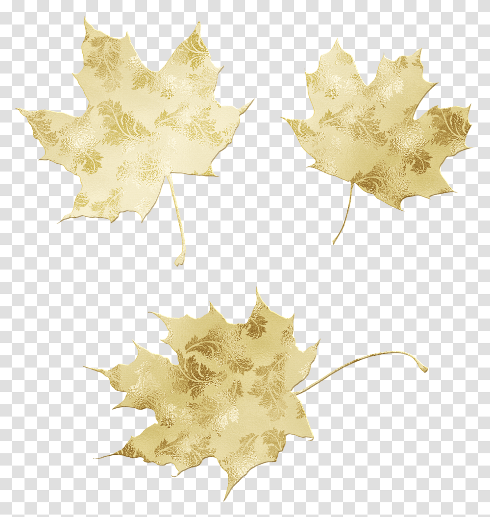 Gold Foil Leaves Glitter Lovely, Leaf, Plant, Tree, Maple Transparent Png