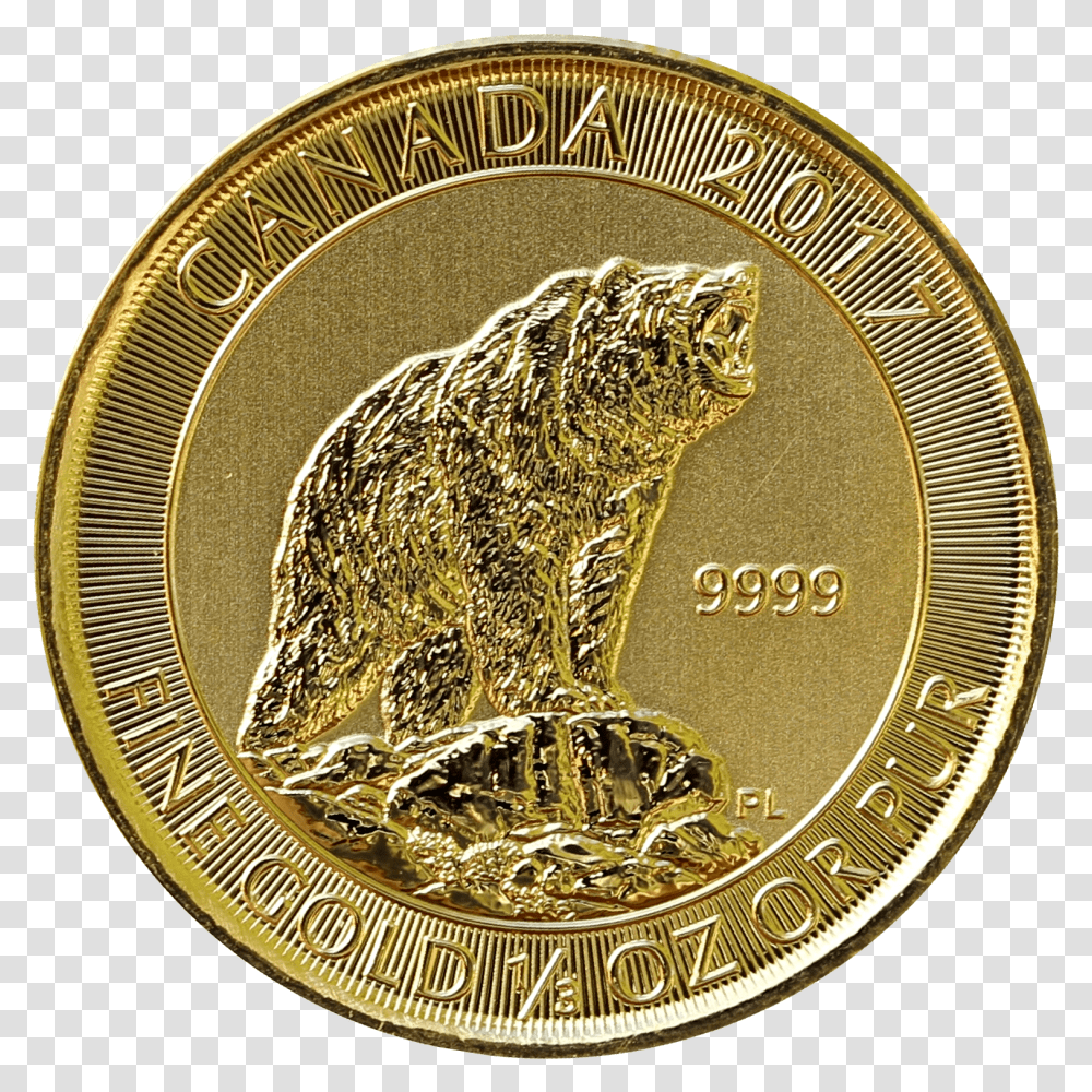 Gold Grizzly Rev Coin, Money, Cat, Pet, Mammal Transparent Png